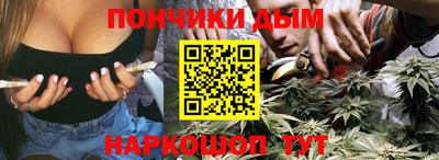 мдпв Камень-на-Оби