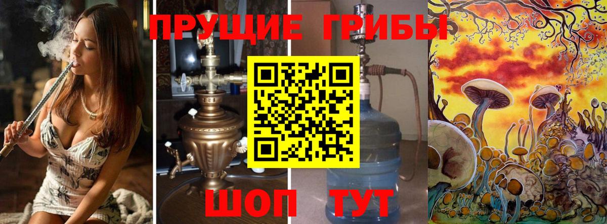 Грязи  Галлюциногенные грибы Cubensis  что такое   Вход с VPN 